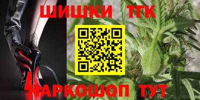 тгк Дубна