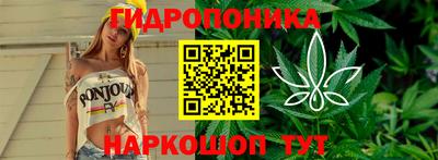 индика Донецк