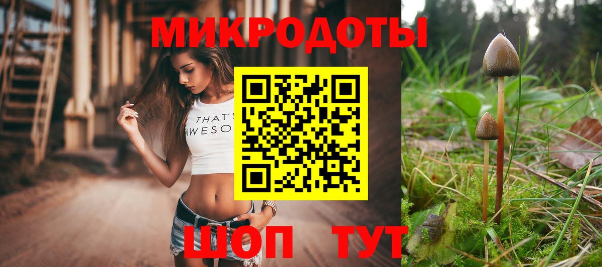 Галлюциногенные грибы прущие грибы  Галлюциногенные грибы GOLDEN TEACHER  Мытищи  Вход с VPN 